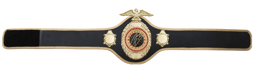 PRO288/G/WRESTGEMG - AVAILABLE IN 10 COLOURS PRO288/G/WRESTGEMG - AVAILABLE IN 10 COLOURS